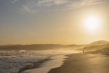 Die untergehende Sonne beleuchtet den Fairhaven Beach im Lorne-Queenscliff Coastal Reserve - FOF12409