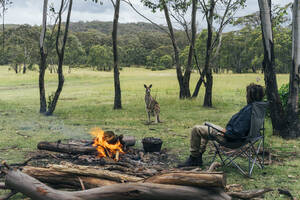 Mann am Lagerfeuer beobachtet Känguru, australischer Busch - CAIF32106