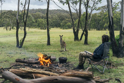Man at campfire watching kangaroo, Australian bush - CAIF32106