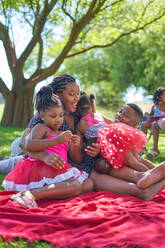 Glückliche Familie entspannt sich auf einer Decke im Sommerpark - CAIF32312