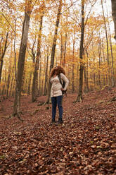 Junge Frau betrachtet im Herbstwald stehende Bäume - VEGF05245
