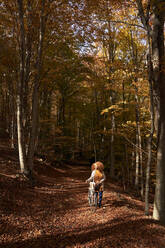 Young woman with bicycle on footpath in autumn forest - VEGF05261