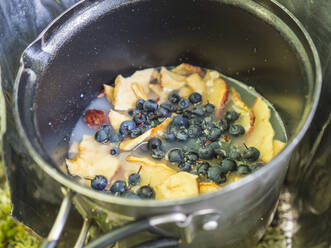 Blaubeeren und in Scheiben geschnittene Äpfel in der Campingkochschale - HUSF00238