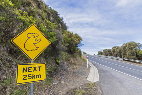 Koala-Warnschild am Straßenrand - FOF12418