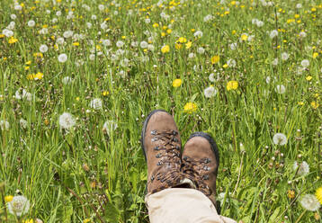 Man with hiking boots relaxing at meadow - GWF07284
