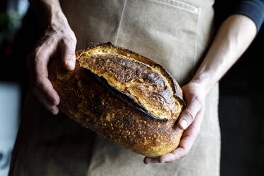 Bäckerin mit Schürze und frisch gebackenem Sauerteigbrotlaib - IFRF01294