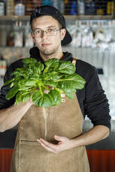 Chefkoch mit frischer Gemüsepflanze im Restaurant - IFRF01306