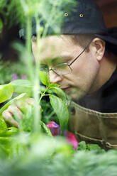 Mann riecht an Gemüsepflanzen im Restaurant - IFRF01309
