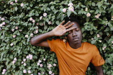 Man relaxing with eyes closed amidst flowering plants - TCEF02147