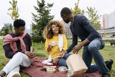 Fröhliche Freunde beim Picknick im Park - VYF00810