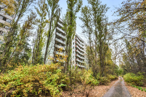 Ukraine, Oblast Kiew, Tschernobyl, Flora überholt verlassene Stadt - SMAF02008