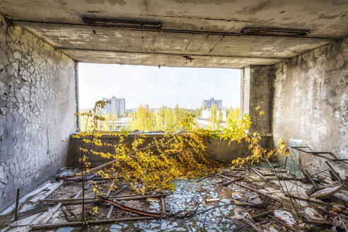 Ukraine, Oblast Kiew, Pripjat, Inneres eines längst verlassenen Gebäudes mit völlig zerbrochenen Fenstern - SMAF02026