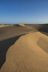 Sanddünen in der Wüste unter blauem Himmel bei Sonnenuntergang, Gran Canaria, Kanarische Inseln, Spanien - RSGF00771