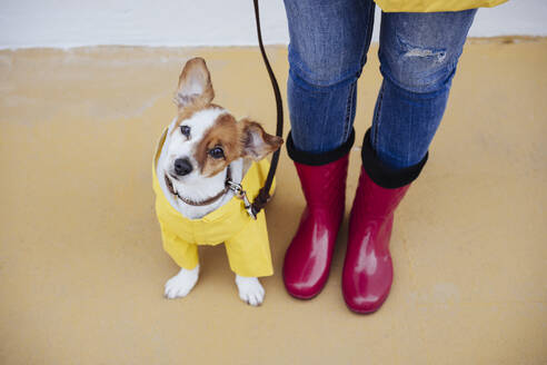 Dog sitting by woman wearing red boots on footpath - EBBF05139