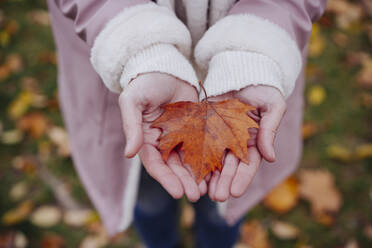 Woman holding dry maple leaf at autumn park - EBBF05203