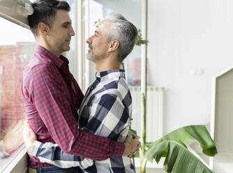 Zärtliches homosexuelles Paar, das sich am Fenster zu Hause austauscht - JCCMF04898