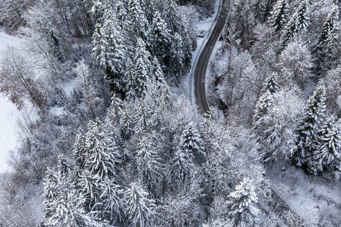 Drohnenansicht einer Straße, die sich durch einen schneebedeckten Wald zieht - LBF03585