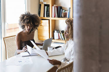 Young women checking document and book at home - PNAF02666