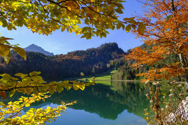 Scenic view of Alatsee lake in autumn - LBF03588