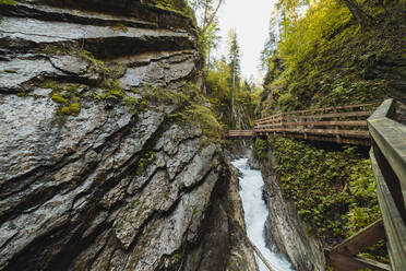 Erhöhter Steg über den Fluss, der durch eine enge Schlucht fließt - MRRF01811