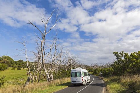 Van auf der asphaltierten Strecke der Great Ocean Road im Sommer - FOF12496