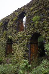 Old aqueduct Muro das Nove Janelas - WWF05959