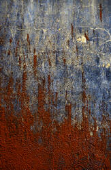 Rotalgen überwuchern eine alte Mauer - WWF05961