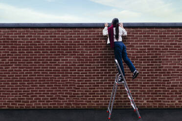 Junge Frau steht auf einer Leiter und schaut über die Mauer - ASGF02061