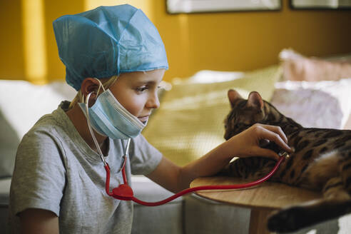 Male veterinarian checking cat's heartbeat with stethoscope in living room - MASF28205