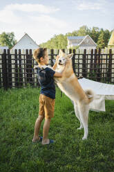 Boy playing with Akita dog on grass at backyard - SEAF00311