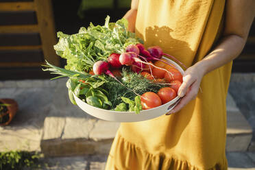 Woman holding fresh vegetables in plate on sunny day - SEAF00328