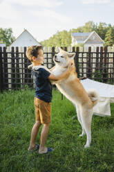 Smiling boy playing with Akita dog on grass in front of fence - SEAF00329
