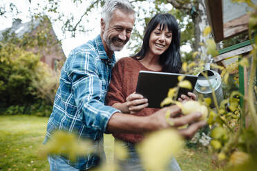 Lächelnder Mann beim Obstpflücken durch Frau mit Tablet-PC im Hinterhof - JOSEF06431