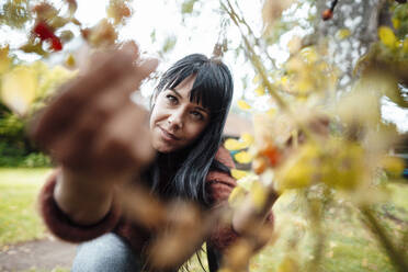 Woman picking fruit in backyard - JOSEF06433