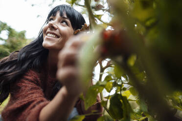 Smiling woman picking fruit in background - JOSEF06435