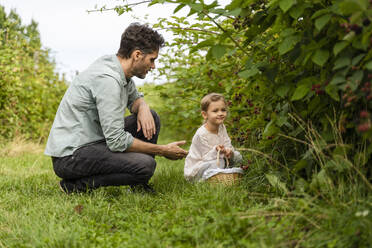 Vater im Gespräch mit Tochter mit Korb im Obstgarten - DIGF17381