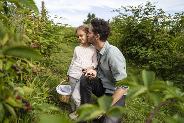 Father kissing cute daughter in orchard - DIGF17386