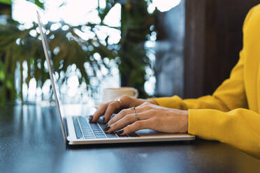 Junge Frau benutzt Laptop in einem Kaffeehaus - PNAF02762