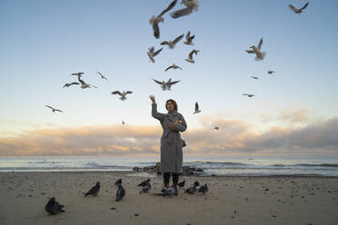 Woman feeding seagulls and pigeons at beach - SSGF00360