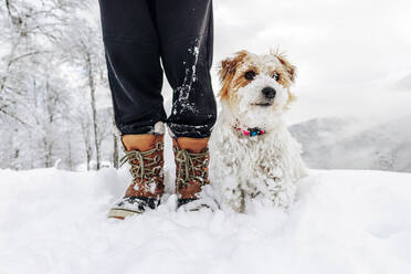 Schneebedeckter Hund, der bei einem Mann im Urlaub sitzt - OMIF00408
