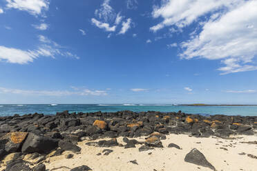 Australia, Victoria, Port Fairy, Rocky beach in Port Fairy Coastline Protection Reserve - FOF12571