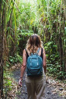 Wanderer inmitten von Pflanzen bei der Erkundung des Arenal Volcano National Park, La Fortuna, Provinz Alajuela, Costa Rica - RSGF00813