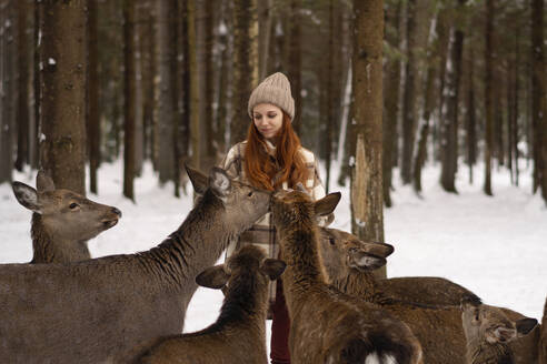 Hirsch mit rothaariger Frau im Winterwald - SSGF00381