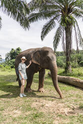 Smiling woman standing by elephant on sunny day - CHPF00827