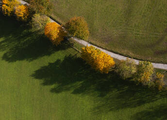 Drone view of treelined country road in autumn - WWF06019