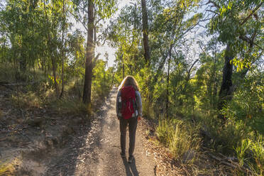 Australia, Victoria, Halls Gap, Female hiker walking in Grampians National Park - FOF12636