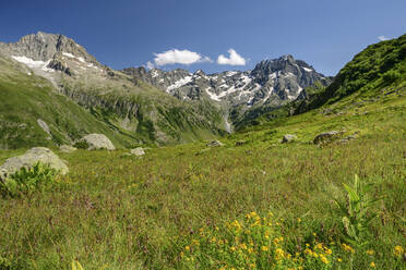 Green meadow amidst mountains on sunny day, Ecrins National Park, France - ANSF00155