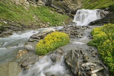 Fließendes Wasser am Col de l'Iseran, Nationalpark Vanoise, Frankreich - ANSF00181