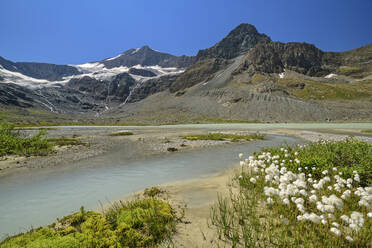 Cotton grass plants near Lac des Evettes lake at winter, Vanoise National Park, France - ANSF00191