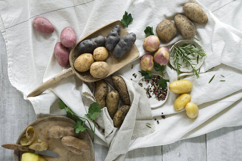 Studio shot of different varieties of raw potatoes - ASF06797